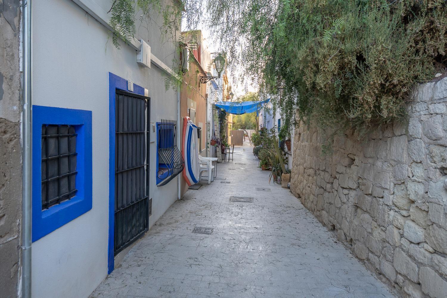 Apartamento San Pedro アリカンテ エクステリア 写真
